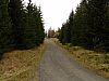 DSC06080.jpg